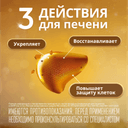 Эссенциале форте Н 300 мг капсулы 90 шт