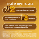 Эссенциале форте Н 300 мг капсулы 90 шт