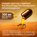 Эссенциале форте Н 300 мг капсулы 90 шт