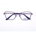 Elfspirit Оправа с футляром E-4470 C100