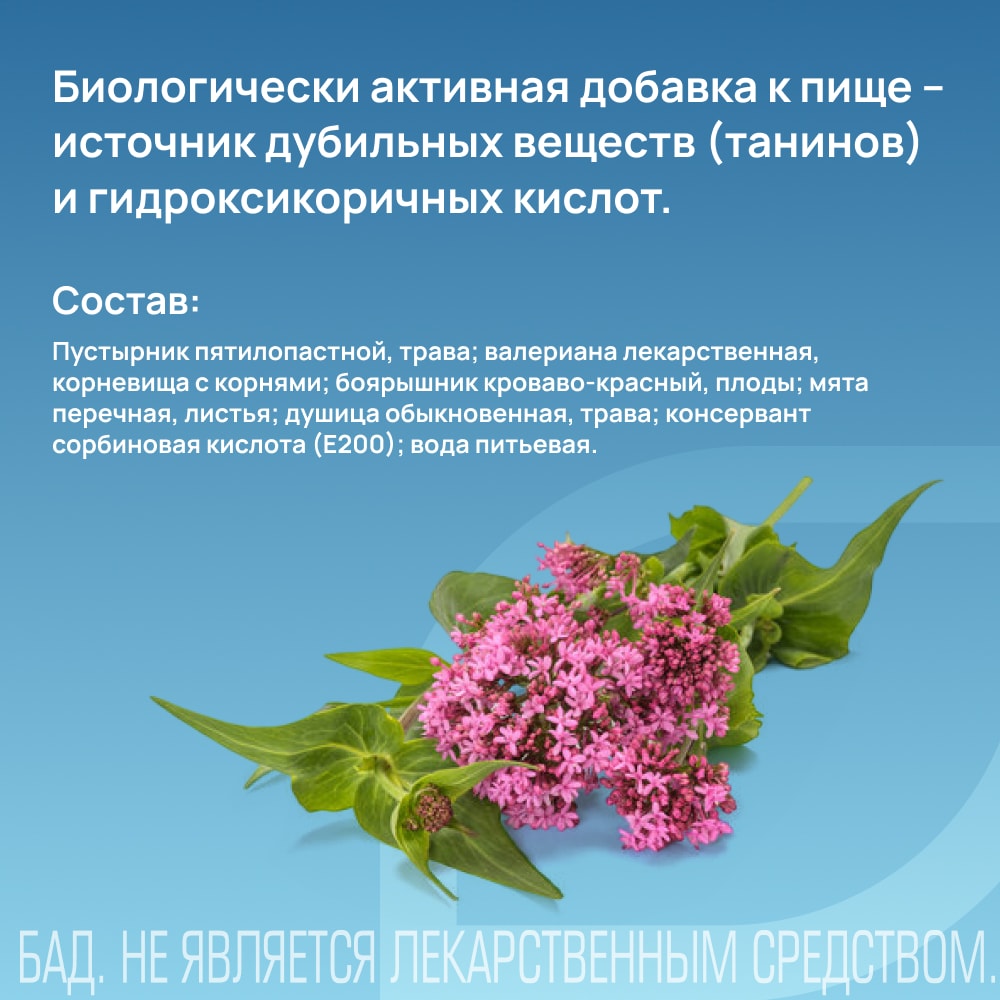Пасситин настойка для приема внутрь 250 мл