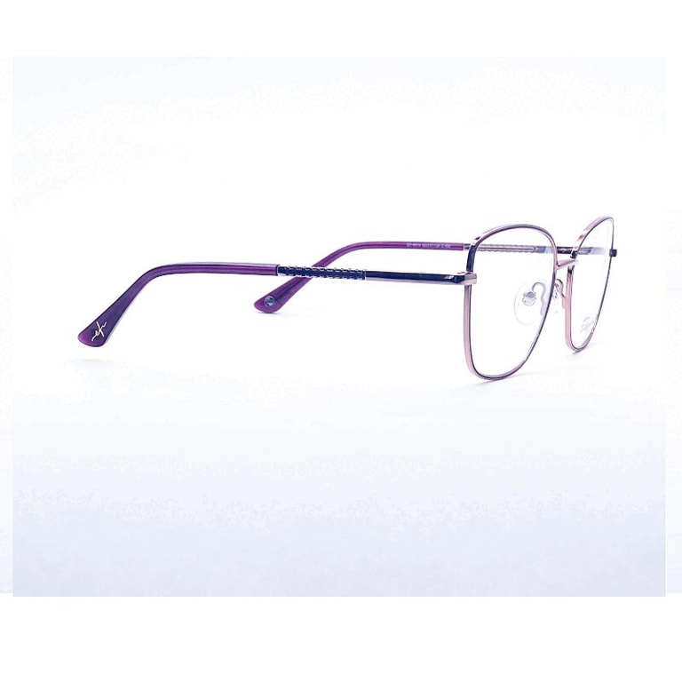 Elfspirit Оправа с футляром E-4470 C100