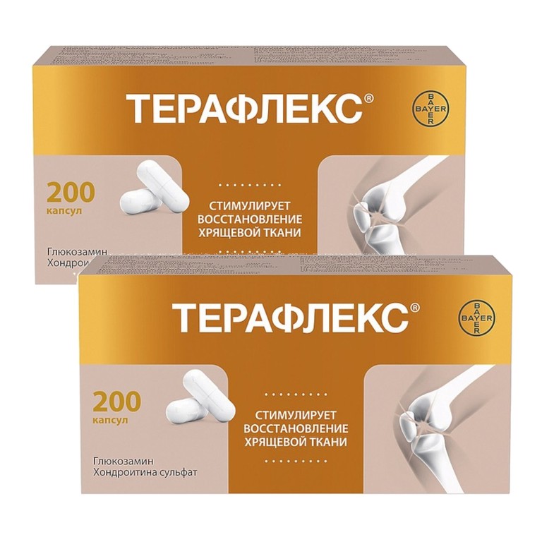Набор 2Х Терафлекс капсулы 200 шт