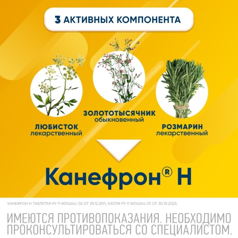 Канефрон Н таблетки 120 шт