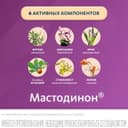Мастодинон таблетки гомеопатические 120 шт