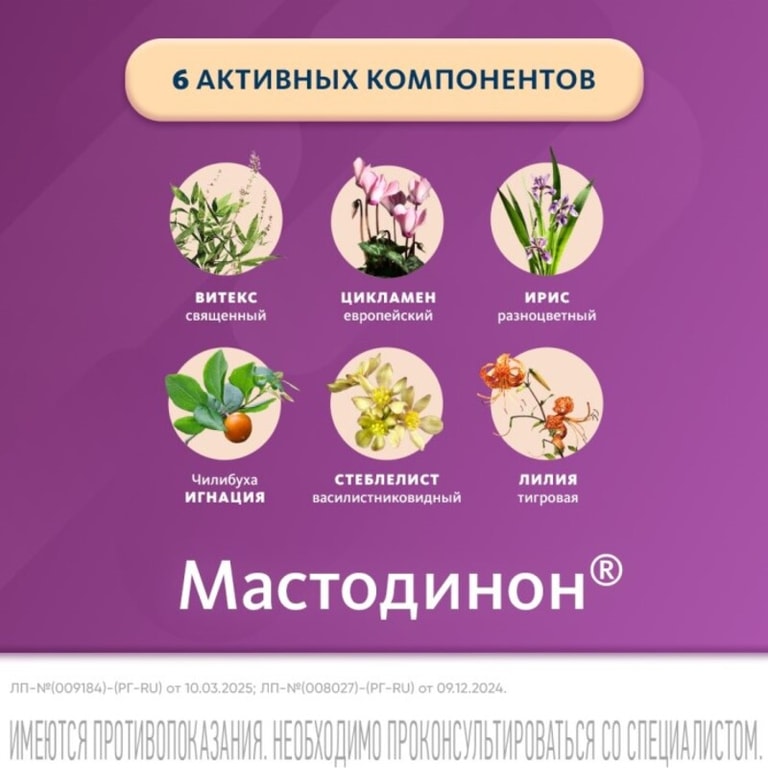 Мастодинон таблетки гомеопатические 120 шт