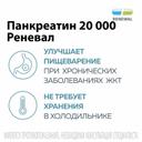 Панкреатин 20000 таблетки 20000ЕД 60 шт