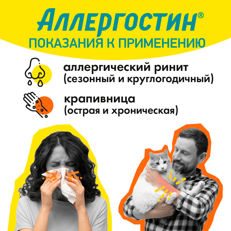 Аллергостин 10 мг таблетки 10 шт