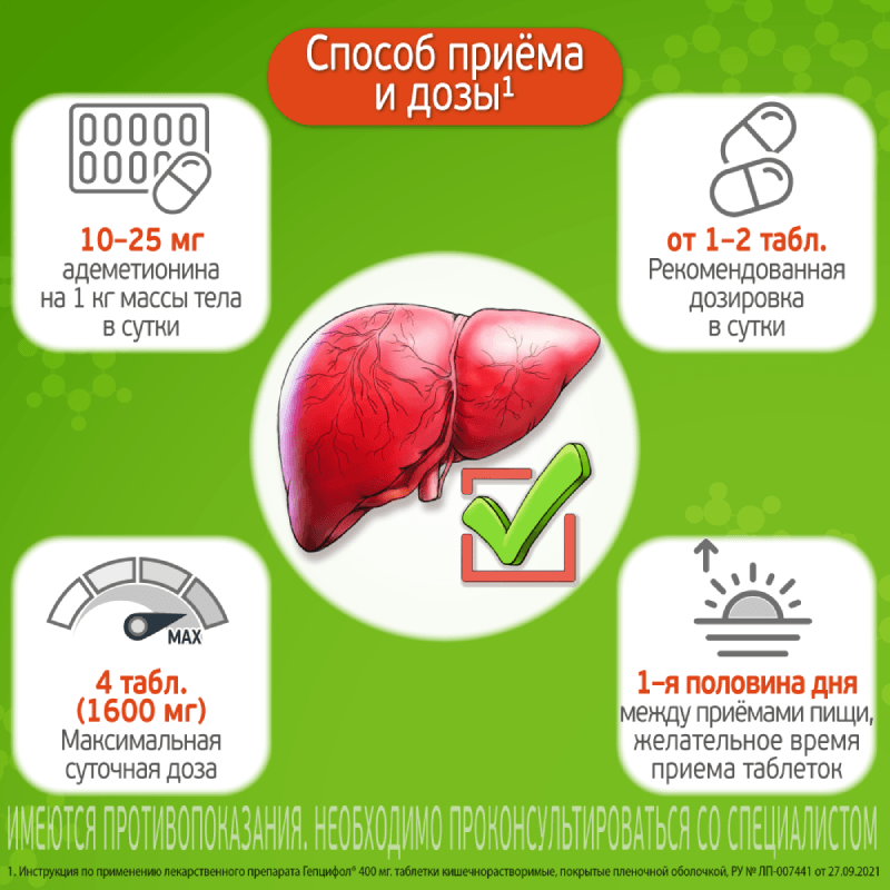 Гепцифол 400 мг таблетки кишечнорастворимые 20 шт