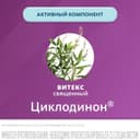 Циклодинон таблетки 30 шт