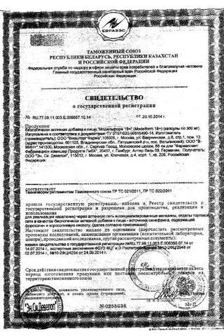 Сертификат Модельформ 18+