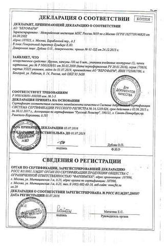 Сертификат Ирунин капсулы 100 мг 6 шт