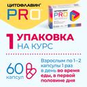 Цитофлавин Про капсулы 60 шт