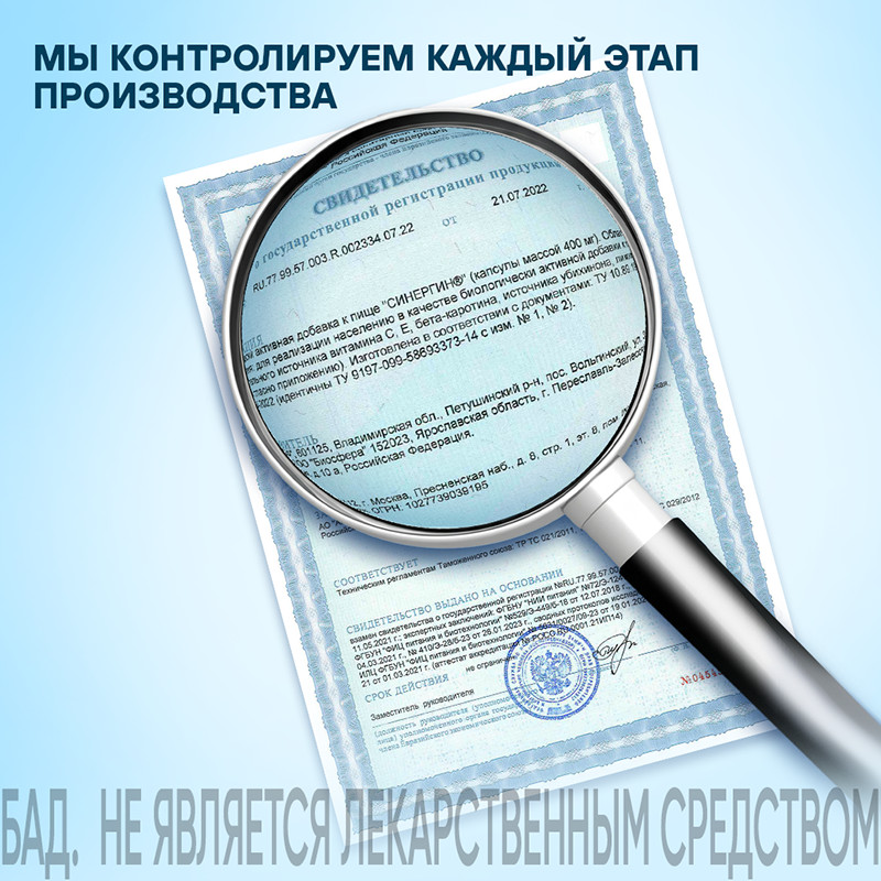 Синергин капсулы 60 шт