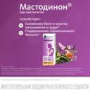 Мастодинон капли гомеопатические для приема внутрь 100 мл