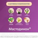 Мастодинон капли гомеопатические для приема внутрь 100 мл