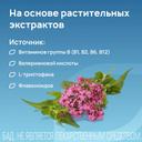 Пасситин Защита от стресса капсулы 60 шт