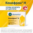 Канефрон Н таблетки 60 шт