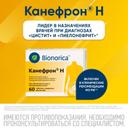 Канефрон Н таблетки 60 шт