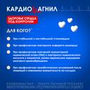 Кардиомагнил 75 мг+15,2 мг таблетки 100 шт