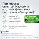 Фитолизин капсулы 40 шт