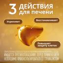Эссенциале форте Н 300 мг капсулы 180 шт