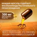 Эссенциале форте Н 300 мг капсулы 90 шт