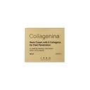 Collagenina Grade 2 Крем для шеи и декольте 50 мл