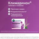 Климадинон таблетки 60 шт