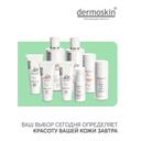 Dermoskin AC Gun Крем дневной восстанавливающий для проблемной кожи 30 мл