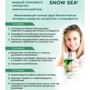 Сноу Си Инозитол+Хлорофилл жидкий флакон 450 мл Апельсин+Мята