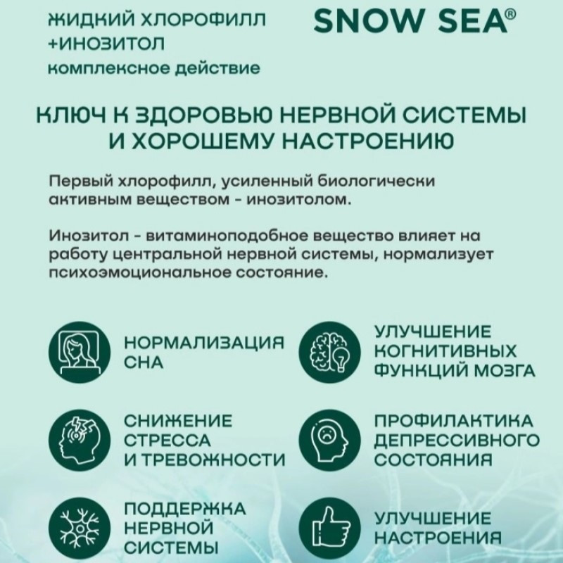 Сноу Си Инозитол+Хлорофилл жидкий флакон 450 мл Апельсин+Мята