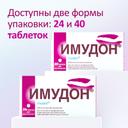 Имудон таблетки для рассасывания 40 шт