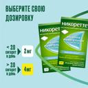 Никоретте 4 мг резинка жевательная лекарственная Морозная мята 30 шт